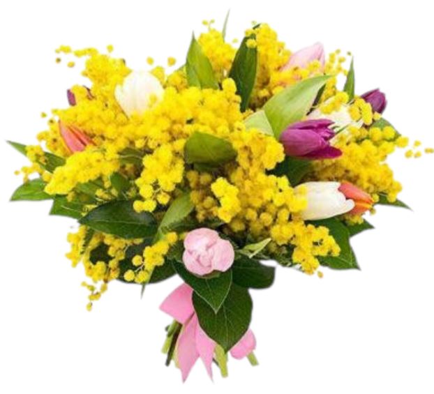 Bouquet of Mimosa and Colored Tulips