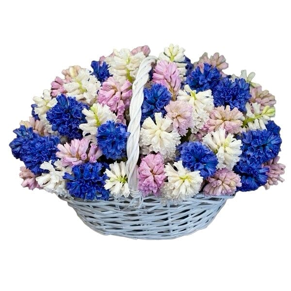 Hyacinths Flower Basket