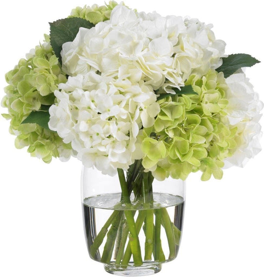 Hydrangea in Vase