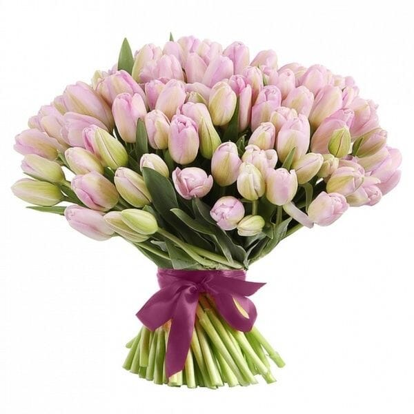 Pastel Pink Tulips Bouquet