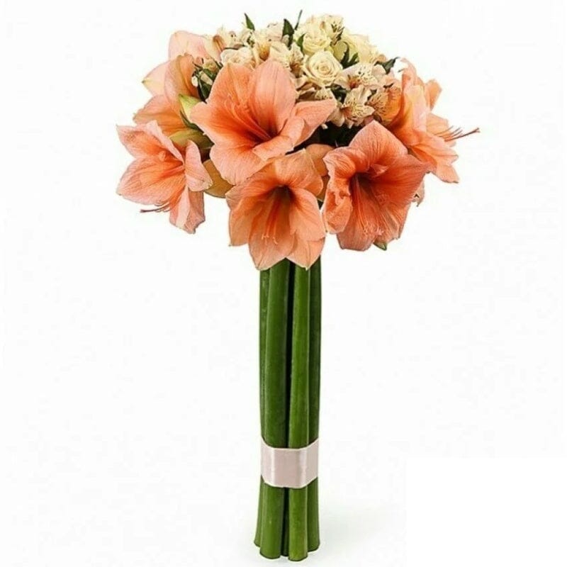 Peach Amaryllis and Cream Roses Bouquet