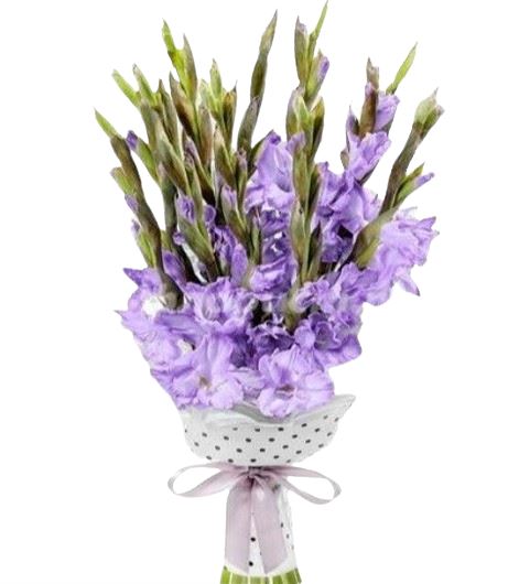 Purple Gladiolus Bouquet