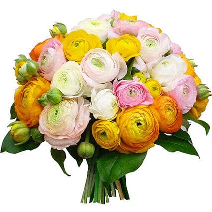 Spring Ranunculus Bouquet