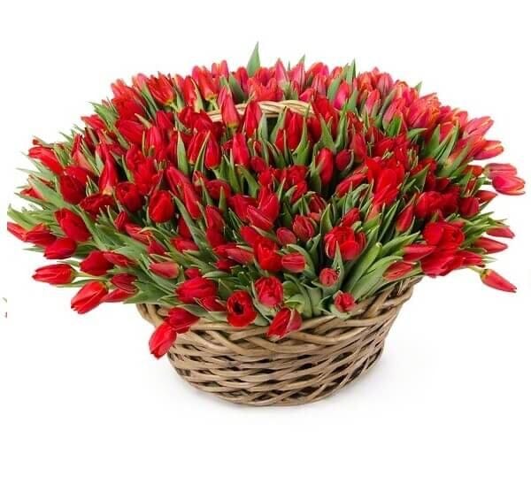 Tulips Flowers Basket