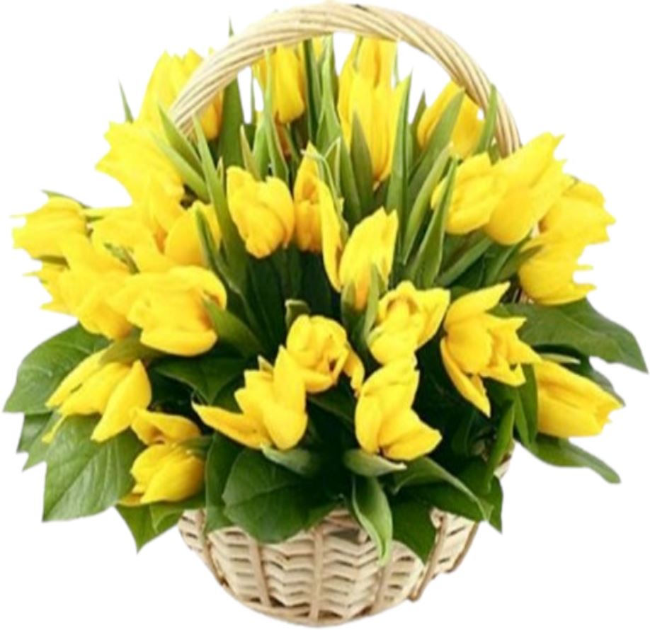 Tulips Flowers Basket