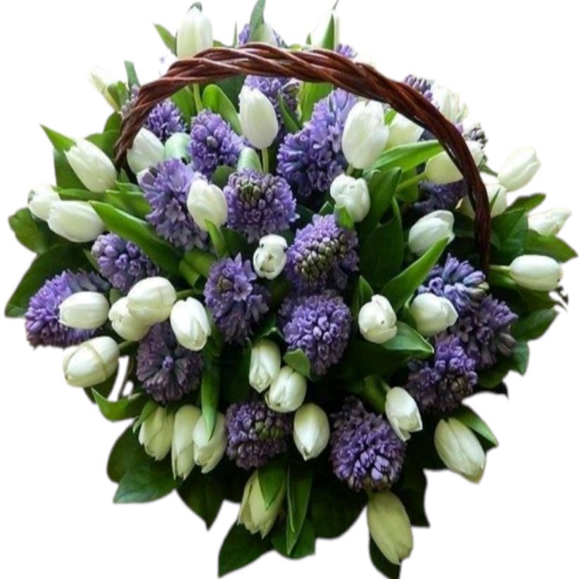 White Tulips with Hyacinths Basket