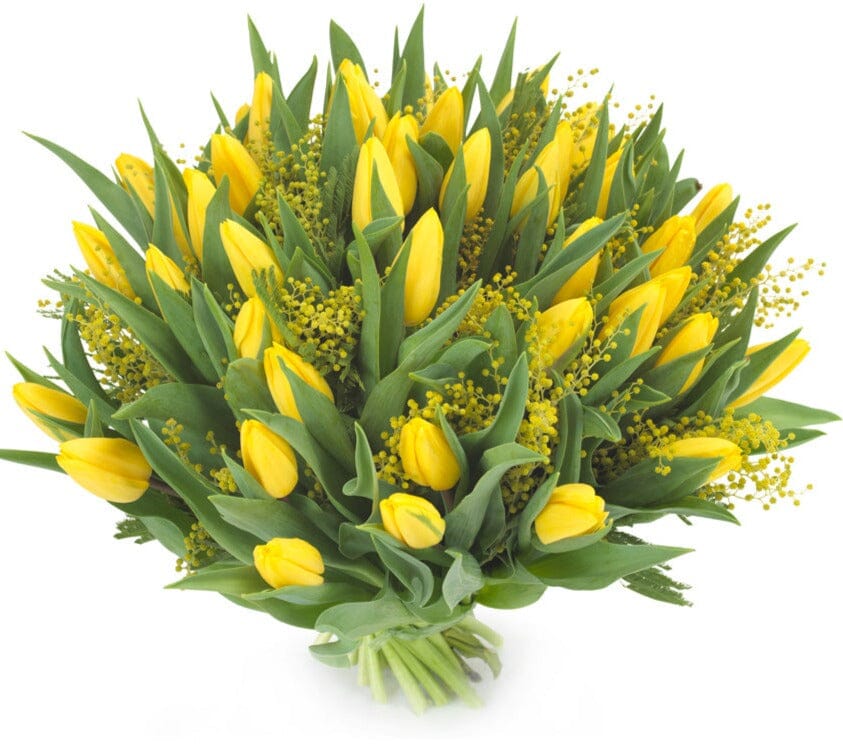 Yellow Tulips with Mimosa Bouquet