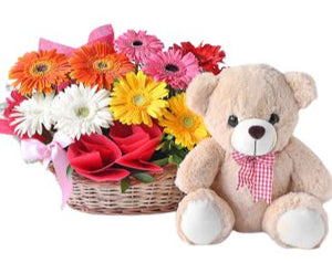 Not for Christmas Cute Stuffed Flowers Daisy Rose Tulip and 