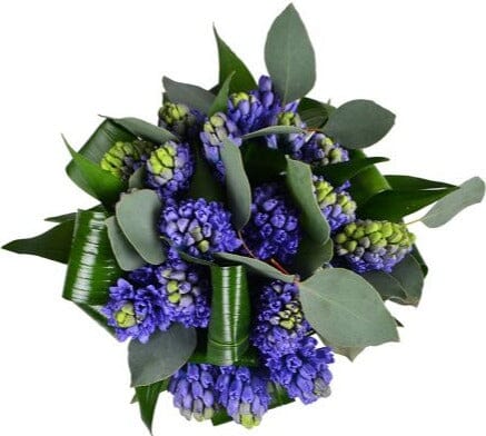 Blue Hyacinth with Greenery Bouquet