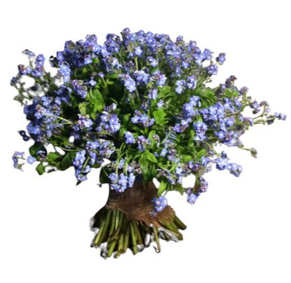 Classic Blue Forget-Me-Not Bouquet