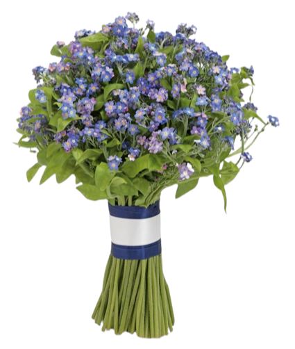 Classic Blue Forget-Me-Not Bouquet