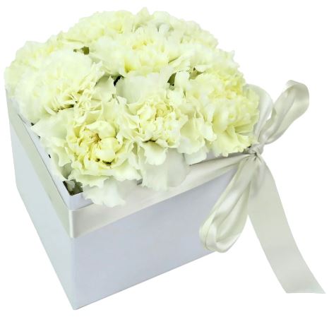 Classic Carnation Box