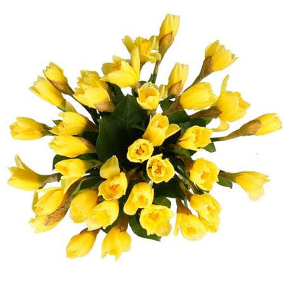 Classic Daffoldis Bouquet