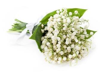 Classic Lily of Valley Bouquet – Luxe Flowers Delivered