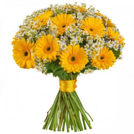 Daisy Tanacetum and Gerbera Bouquet