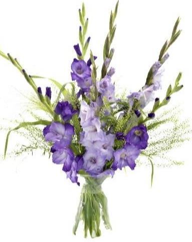 Gladiolus Bouquet with Greenery