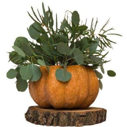 Greenery in Pumpkin on Wood