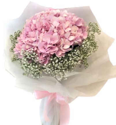 Hydrangea with Gypsophila Bouquet