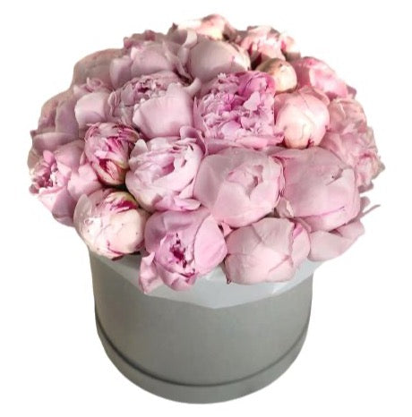 Light pink deals peonies