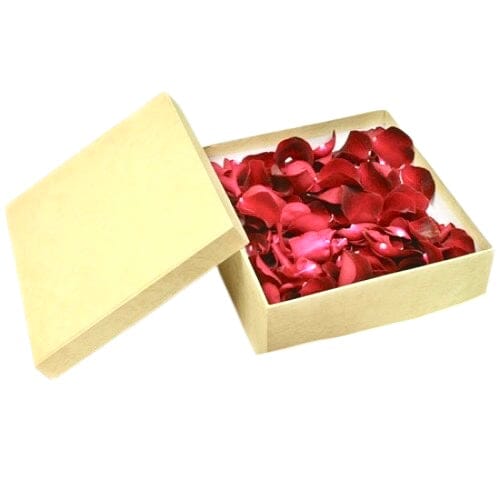 Loose Red Roses Petals Square Box