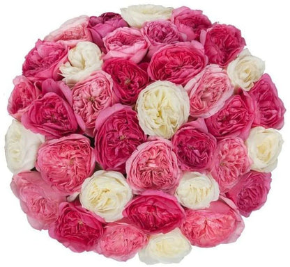 Luxury Garden Roses Box