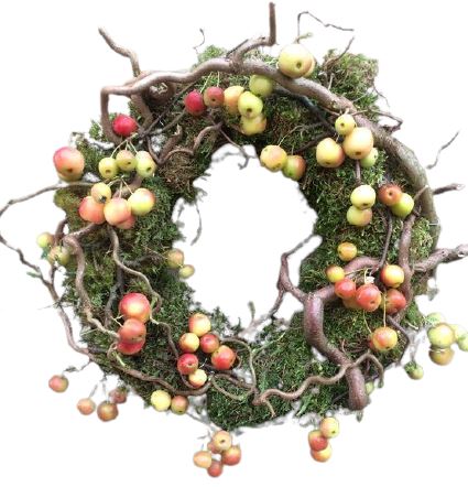 Malus Twist Autumn Wreath