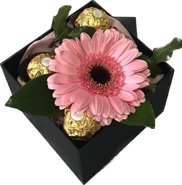 One Fresh Gerbera with Chocolates