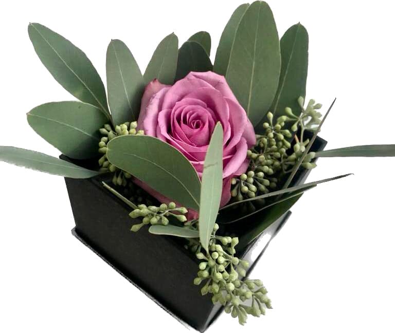 One Fresh Rose with Greenery Box