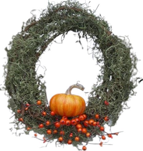 Pumpkin and Tillandsia Halloween Wreath