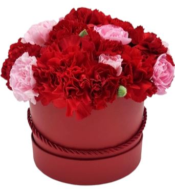 Red and Pink Carnations Box