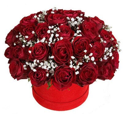 Red Roses and Gypsophila Box