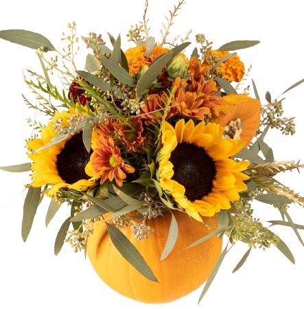 Sunflowers in Pumpkin