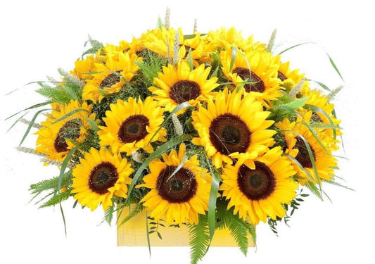 Sunflowers with Greenery Box