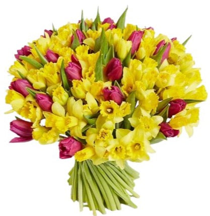 Tulips And Daffoldis Bouquet