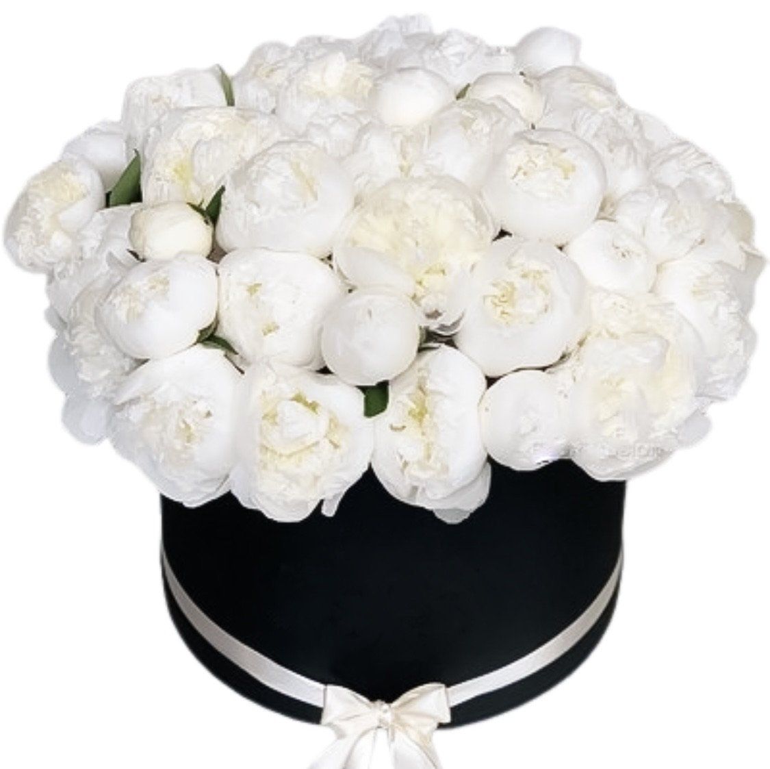 White Peonies Box