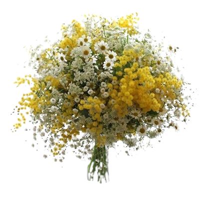 Wild with Mimosa Bouquet